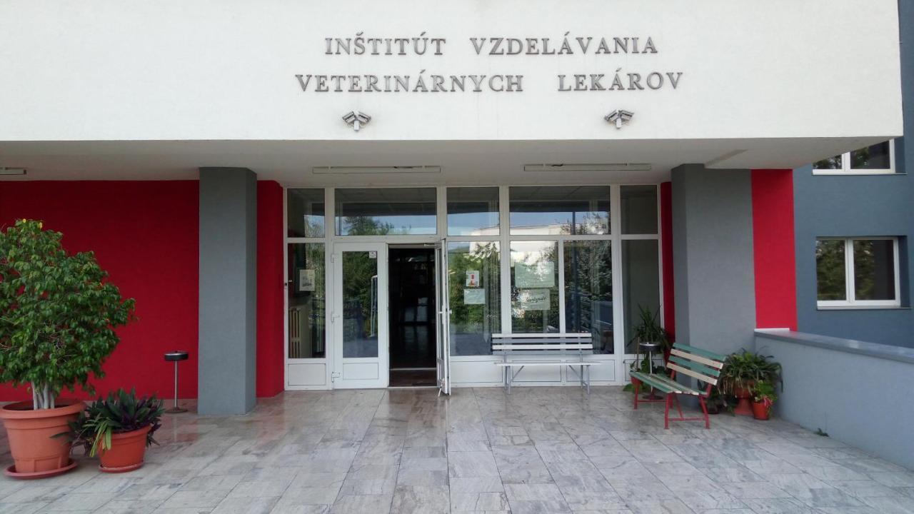 Penzion Institut Kosice Bagian luar foto
